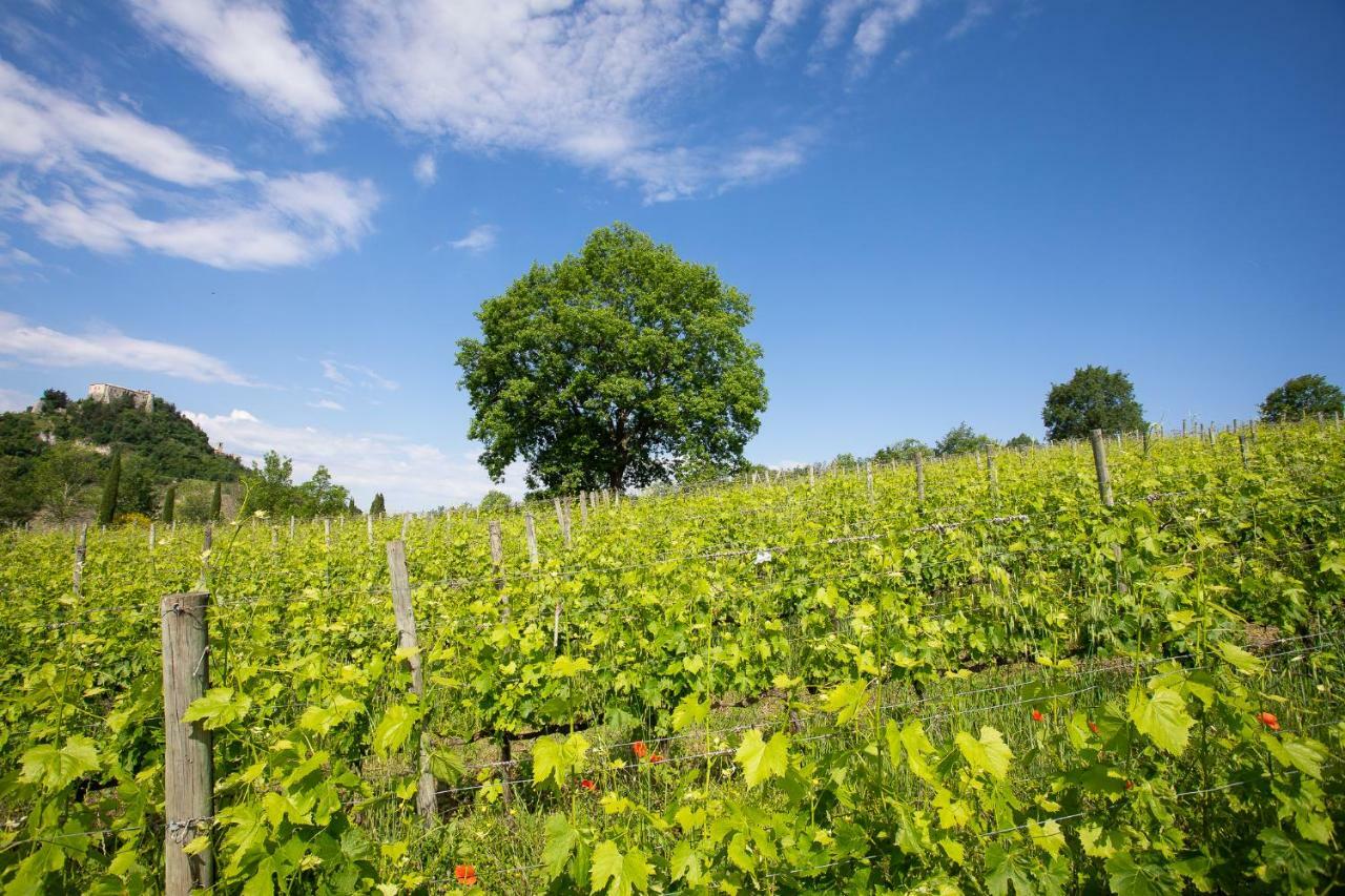 Tenuta Saiano Resort Torriana Buitenkant foto